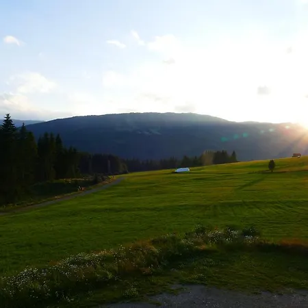 Moser * מריהפאר