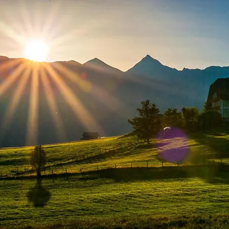 Moser מריהפאר