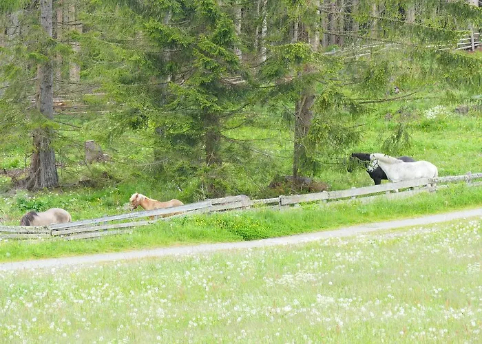 Moser Apartamento Mariapfarr