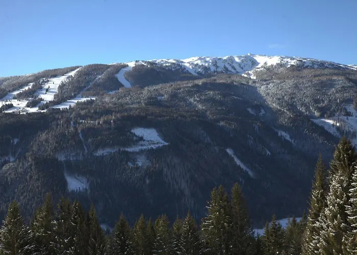 Apartamento Moser Mariapfarr